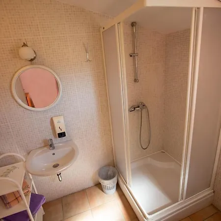 Casa de hóspedes Pansion Boris 3*